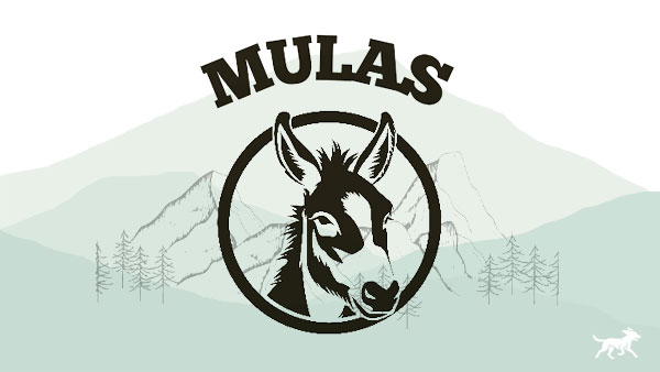 Logo Mulas