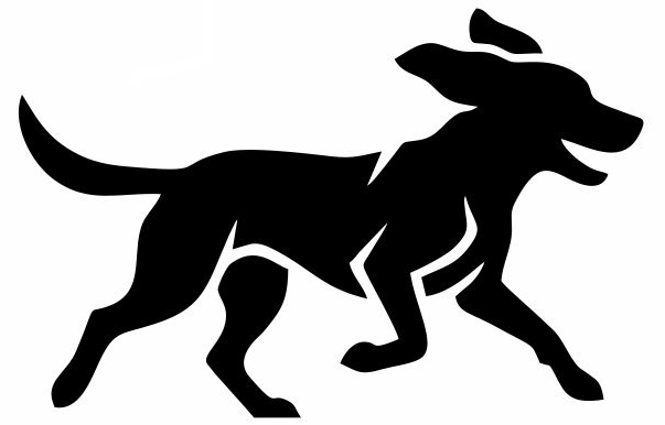 Backyard Ultra Brasil